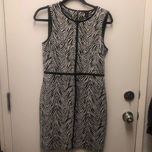Ann Taylor Sleeveless Dress Zebra Stipe
